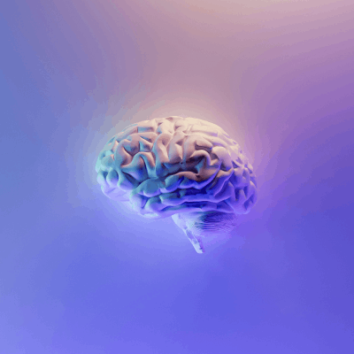 photo of a brain in pastel colours blue red and green